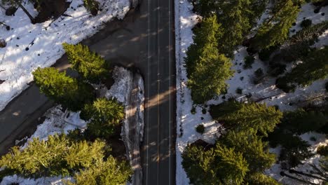 Vista-De-Pájaro-De-Las-Copas-De-Los-árboles-Del-Bosque-Siempre-Verde-Y-La-Nieve-Con-Los-Coches-Que-Pasan-En-Cle-Elum,-Estado-De-Washington