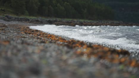 The-waves-are-rolling-and-crashing-on-the-pebble-beach-covered-with-withered-seaweed