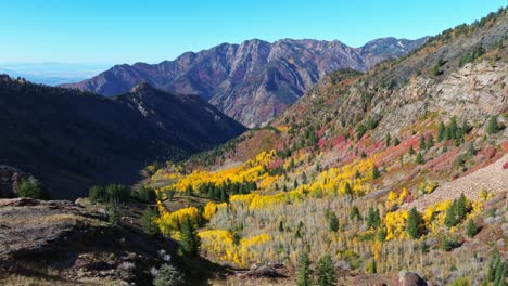 Luftaufnahme---Schöne-Herbstfarben-In-Den-Bergen-Des-Big-Cottonwood-Canyon-In-Utah