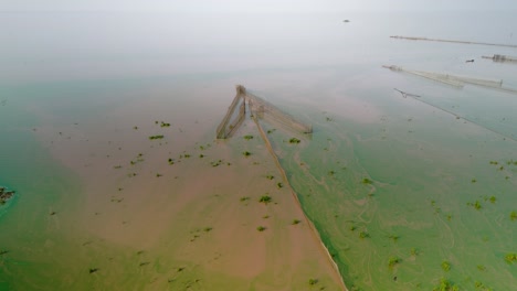 Fischfalle-In-Schlammigen-Gewässern-überschwemmt-Mit-Leuchtend-Grünen-Oberflächenalgen,-Die-In-Der-Oberflächenströmung-Wirbeln