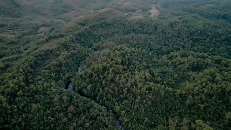 Parque-Nacional-Boscoso-De-Ríos-Salvajes-Franklin-gordon-En-Tasmania,-Suroeste-De-Australia