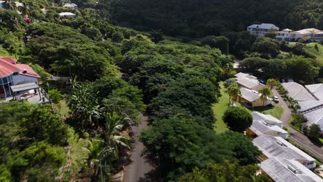 Malerisches-Guadeloupe:-Luftaufnahmen-Der-Ländlichen-Schönheit-In-60 fps