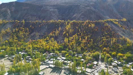 Aerial-View-Of-Autumnal-Trees-In-Skardu-Valley-Hillside