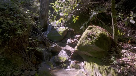 Immerse-yourself-in-the-tranquility-of-nature-with-this-mesmerizing-close-up-video-of-a-small-stream-waterfall-nestled-within-the-enchanting-redwood-forest-of-the-Santa-Cruz-Mountains