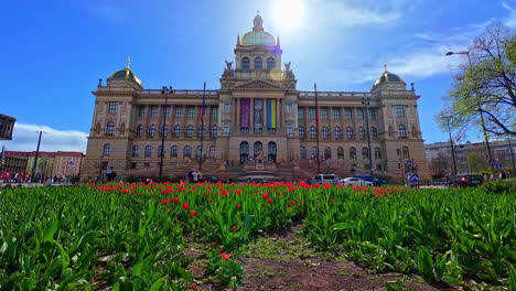 Tulips-In-Front-Of-National-Museum-From-Wenceslas-Square-In-Prague,-Czech-Republic
