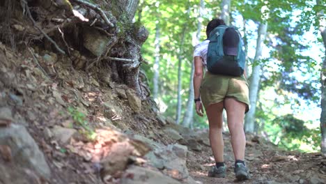 Hiker-girl,-woman-outdoors-in-mountain-forest,-nature-walking,-strolling,-wandering-at-the-woods-on-winter