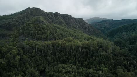 Tropical-Rainforest-And-Ragged-Mountains-At-Franklin-Gordon-Wild-Rivers-National-Park-In-Tasmania,-Southwest-Australia