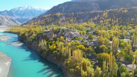 Aerial-View-Of-Autumnal-Trees-In-Skardu-Valley-Beside-Turquoise-Indus-River