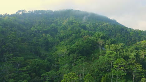 Misty-forest-landscape-of-hilly-terrain,-aerial-view