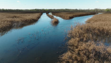 Pantanos-En-El-Refugio-De-Vida-Silvestre-Del-área-De-Manejo-De-Vida-Silvestre-Del-Estado-De-Bell-Slough-Cerca-De-Mayflower,-Arkansas,-Estados-Unidos