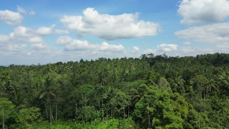 Rise-Above-Lush-Tropical-Forest-On-The-Lower-Slopes-Of-Kawah-Ijen-Indonesia