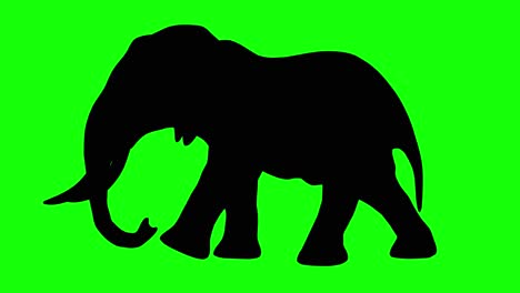 A-silhouette-of-an-elephant-walking-on-green-screen,-side-view