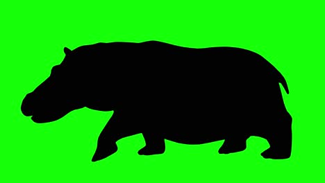 A-silhouette-of-a-hippo-walking-on-green-screen,-side-view