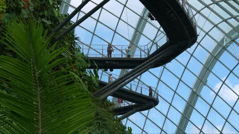 People-walking-on-cloud-forest-aerial-walkway,-greenhouse-conservatory,-glass-window-dome-building-and-blue-sky,-Gardens-by-the-bay,-the-iconic-attraction-of-Singapore,-static-shot