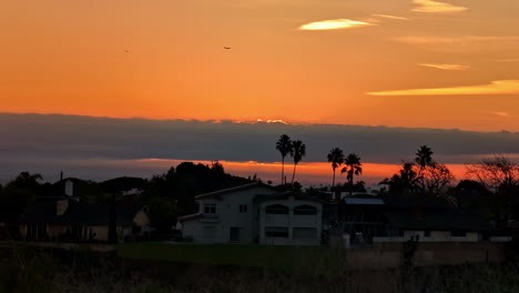 Los-Angeles-panoramic-sunset-skyline-palm-trees-houses-Californian-town-orange-sky,-calm-atmosphere,-golden-clouds-background