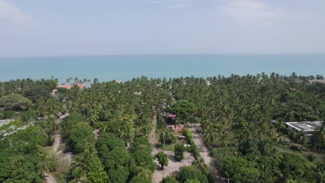 Camino-Bordeado-De-Palmeras-De-Palomino-Hacia-El-Mar,-Colombia---Aéreo