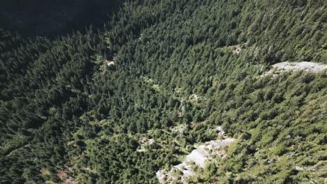 Dichter-Wald-In-Der-Nähe-Von-Bergen-Von-Sky-Pilot,-Copilot-Und-Habrich-In-Squamish-Lillooet,-BC,-Kanada