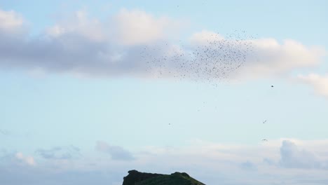 Fenómeno-De-La-Naturaleza-Mientras-El-Murmullo-De-Los-Estorninos-Se-Desarrolla-En-El-Cielo-En-Un-Patrón-De-Vuelo