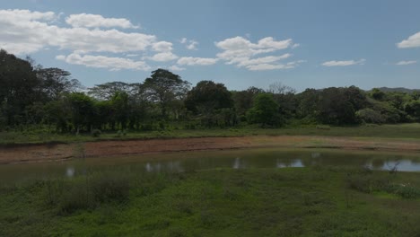 Volando-Sobre-El-Río-Del-Parque-Nacional-Aniana-Vargas-En-República-Dominicana