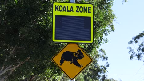 Flashing-neon-Koala-warning-street-sign-on-a-busy-urban-city-roadside