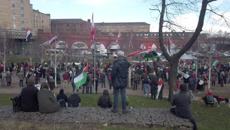 Un-Hombre-Que-Enarbola-Su-Bandera-Palestina-En-Un-Mitin.