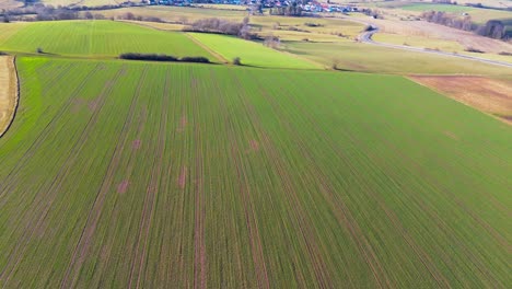 Exuberantes-Hileras-De-Cultivos-Bajo-La-Mirada-De-Un-Dron-En-Tierras-Rurales