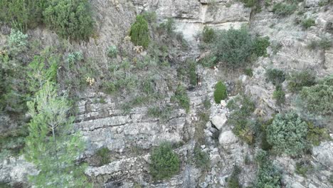 Drei-Junge-Iberische-Steinböcke-Laufen-Durch-Eine-Bergige-Landschaft-In-Castellon,-Südostspanien
