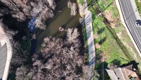 We-see-the-banks-of-the-Adaja-river-as-it-passes-through-Avila-capital-with-its-leafless-trees-because-it-is-winter,-the-course-with-water-and-a-road-with-cars-circulating-in-Spain