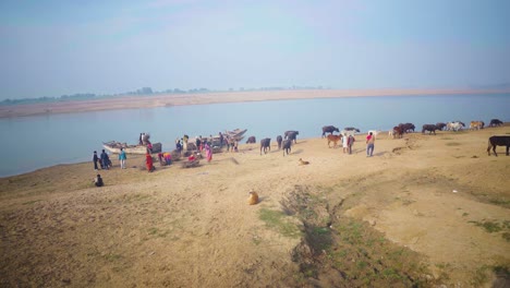 Dorfbewohner-Mit-Ihren-Haustieren-Wie-Büffeln-Besteigen-Traditionelle-Boote-Am-Ghat-Oder-Ufer-Des-Chambal-Flusses-Morena