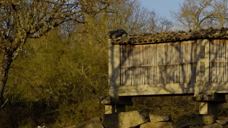 Old-Traditional-Granary-From-Galicia-Surrounded-By-Trees-In-Spain