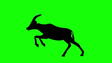 A-silhouette-of-a-gazelle-run-jump-on-green-screen,-side-view