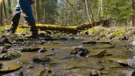 Person-Im-Wald,-Die-über-Einen-Bach-Wandert