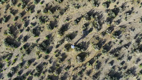 Vista-Aérea-A-Vista-De-Pájaro-Sobre-Un-Astronauta-Caminando-Por-La-Soleada-Naturaleza-Del-Desierto