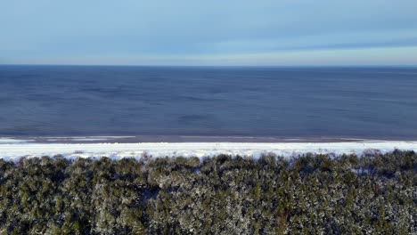 Vista-Aérea-De-Un-Denso-Bosque-Siempre-Verde-Con-Ramas-Cubiertas-De-Nieve-Que-Bordean-Un-Océano-Azul-Brillante,-Posiblemente-En-Algún-Lugar-De-Una-Región-Fría-Y-Remota-Con-Inviernos-Nevados-Cerca-De-La-Costa