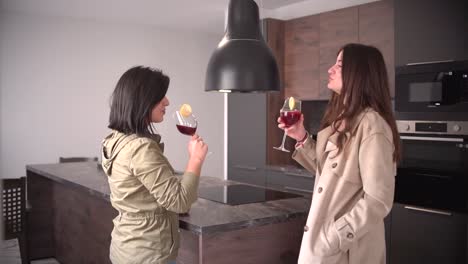 Zwei-Frauen,-Ein-Paar-Freunde-Trinken-Wein-Drinnen-In-Der-Küche-Zu-Hause,-Stoßen-An,-Jubeln-Mit-Einem-Glas,-Lächeln,-Sprechen-Und-Lachen