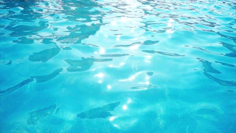 Wasser-Plätschert-Im-Swimmingpool-An-Einem-Sonnigen-Tag.-Poolwasser-In-Zeitlupe