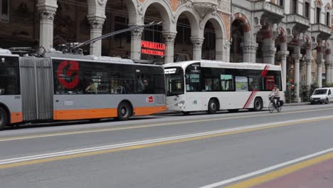 Dos-Autobuses-Esperando-En-La-Parada-De-Autobús-Al-Lado-De-La-Carretera-De-La-Ciudad,-Con-Un-Ciclista-Pasando-En-Bicicleta