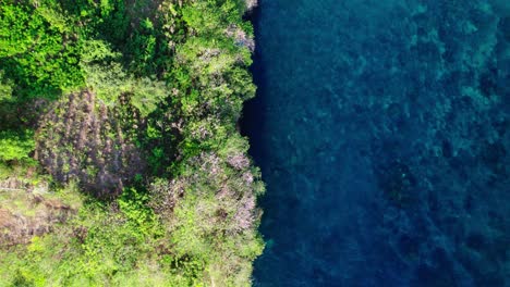 Volando-Sobre-Una-Isla-Boscosa-En-El-Océano-En-Nusa-Penida,-Bali,-Indonesia