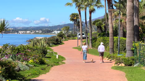A-couple-walking-a-dog-by-the-sunny-beach-in-Estepona,-sea-view,-palm-trees-and-blue-sky,-holiday-vacation-in-Spain,-Paseo-Maritimo,-4K-shot