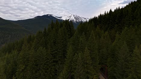 Hermosa-Vista-Del-Bosque-Siempre-Verde-Que-Muestra-Montañas-Nevadas-Al-Fondo-En-Snoqualmie,-Estado-De-Washington