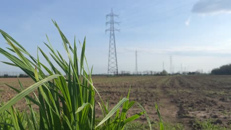 Transmission-tower-pylon-electrical-cable-high-voltage-electricity-agriculture-field-and-blades-of-grass-windy