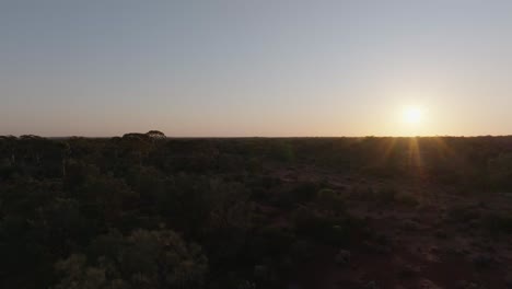 Rising-drone-clip-of-Australian-outback-at-bright-sunrise,-with-views-to-the-horizon