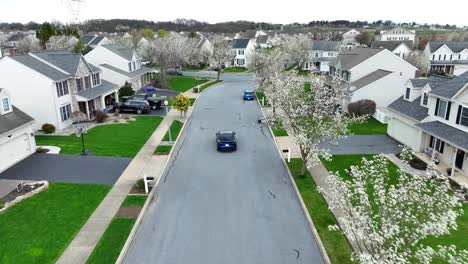 Blue-Tesla-Model-Y-driving-in-modern-American-neighborhood-with-white-blossoms-on-trees-in-spring