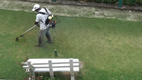 A-gardener-is-cutting-grass,-Sri-Lanka