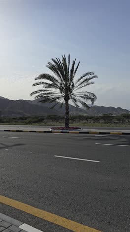 Blick-Auf-Eine-Palme-Neben-Der-Autobahn-Vor-Der-Kulisse-Des-Bergigen-Geländes-Im-Nahen-Osten