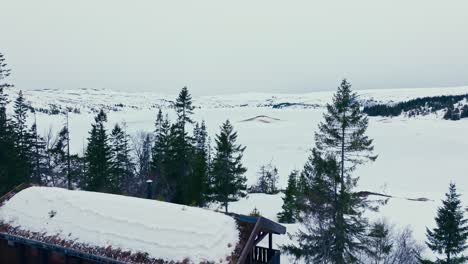 Mountain-Cabin-With-Pine-Trees-Overlooking-The-Frozen-Lake-At-Winter