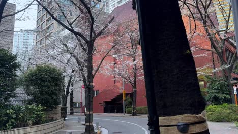 Straßen-Yokohama-Japan-Stadtbild-Fußgängerzonen-Im-Frühling-Kirschblütensaison-Gebäude-Sakura-Bäume