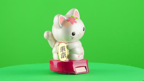 Maneki-neko-lucky-japanese-cat-symbol-with-sakura-say-hi-gold-coin-fortune-on-green-background-chroma-key-background-replacement-backdrop-objet-in-a-turntable-3d-spinning-loop