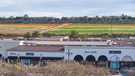 Vuelo-De-Izquierda-A-Derecha-Del-Centro-Comercial-Premium-Outlets-En-Carlsbad,-California,-Con-El-Pintoresco-Fondo-De-Los-Campos-De-Flores-En-Flor-Al-Fondo.