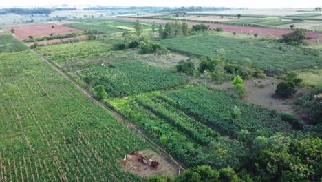 Campos-De-Cultivo-De-Yuca-En-El-Pueblo-Rural-De-La-Luna-Paraguay-Video-De-Drones-4k-30-Fps